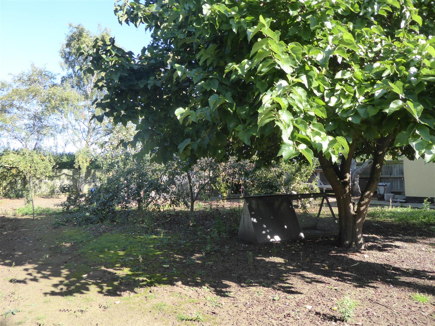 REAR ORCHARD AREA
